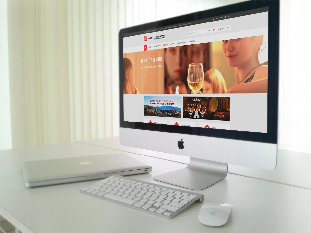 diseño tienda online de vinos
