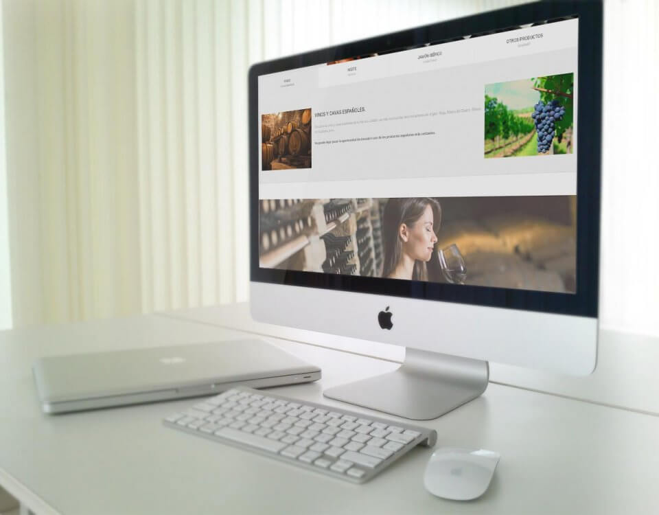 diseño web corporativo importacion exportacion